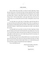 Đánh giá các yếu tố tác động đến kết quả hoạt động dịch vụ thẻ tín dụng của khách hàng cá nhân tại Ngân hàng Thương mại cổ phần Việt Nam Thịnh Vượng Hội sở