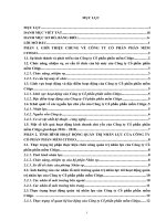 Báo cáo thực tập khoa Kế toán tại Công ty cổ phần phần mềm citigo 