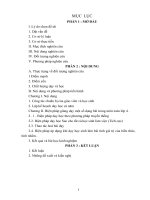 SKKN bien phap day hoc tich cuc mon toan lop 4 