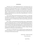 Báo cáo thực tập khoa Marketing tại Công ty cổ phần samrtland 