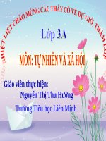 Bài giảng TNXH lớp 3 một số động vật sống dưới nước 