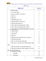 Sáng kiến kinh nghiệm: Một số biện pháp nâng cao chất lượng chương trình rèn luyện đội viên chuyên hiệu nghi thức Đội