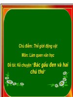 slide bài giảng bác gấu đen và hai chú thỏ 