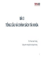 TỔNG CẦU VÀ CHÍNH SÁCH TÀI KHÓA ThS. Phạm Xuân Trường Giảng viên trường Đại học Ngoại thương