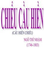 slide bài giảng chieu cau hien   ngô thì nhậm 
