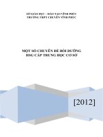 CHUYÊN đề bồi DƯỠNG HSG cấp TRUNG học cơ sở các môn 