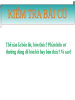 slide bài giảng vai trò của giống và phương pháp chọn tạo giống cây trồng 