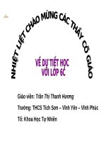 slide bài giảng bài 15 chỉnh sửa văn bản (tin 6) 