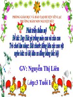 Giáo án âm nhạc gà trống, mèo con và cún con 