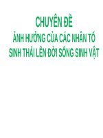 slide bài giảng ảnh hưởng của các nhân tố sinh thái lên đời sống sinh vật 
