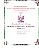 HIỆN TƯỢNG TỪ VAY MƯỢN TRONG TIẾNG VIỆT