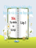 Bài giảng quả   tự nhiên và xã hội lớp 3 