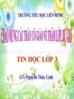 Bài giảng tin học lớp 3 vẽ hình từ hình mẫu có sẵn  chọn màu, nét vẽ  