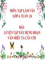 Bài giảng luyện tập xây dựng đoạn văn miêu tả cây cối   tập làm văn lớp 4 