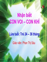 slide bài giảng nhận biết con voi con khỉ 
