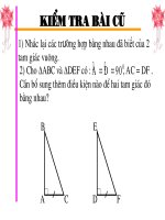 slide bài giảng tiết 38  các TRƯỜNG hợp BẰNG NHAU của TAM GIÁC VUÔNG 