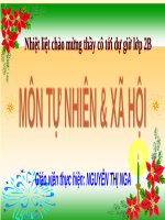 Bài giảng môn tự nhiên xã hội lớp 2 