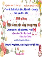 Bài giảng một số con vật sống trong rừng 3  4 tuổi 