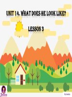 Bài giảng UNIT 14  WHAT DOES HE LOOK LIKE   lesson 3  tiếng anh lớp 4 