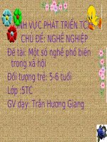 slide bài giảng một số nghề phổ biến 