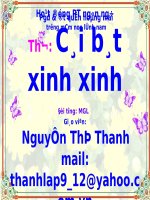 slide bài giảng cái bát XINH XINH 