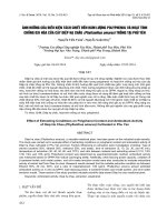 ẢNH HƯỞNG CỦA ĐIỀU KIỆN TÁCH CHIẾT ĐẾN HÀM LƯỢNG POLYPHENOL VÀ HOẠT TÍNH CHỐNG OXI HÓA CỦA CÂY DIỆP HẠ CHÂU (Phyllanthus amarus) TRỒNG TẠI PHÚ YÊN Nguyễn Tiến Toàn1, Nguyễn Xuân Duy2*