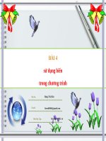 slide bài giảng sử dụng biến trong chương trình 