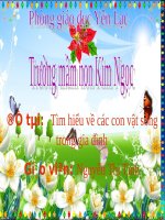 slide bài giảng tìm hiểu các con vật sống trong gia đình 