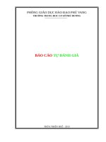 TRƯỜNG TRUNG HOC CƠ SỞ PHÚ DƯƠNG BÁO CÁO TỰ ĐÁNH GIÁ