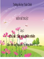 Bài giảng chủ đề  trang phục yêu thích   mỹ thuật lớp 2 