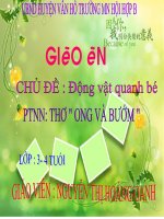 slide bài giảng thơ ong và bướm 