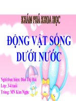 slide bài giảng tìm hiểu các con vật sống dưới nước 