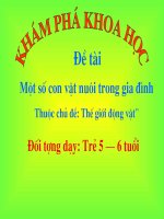 slide bài giảng một số con vật nuôi trong gia đình 