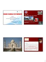 XỬ TRÍ BĂNG HUYẾT SAU SINH Thư ký danh dự FIGO Giám đốc Trung tâm Y học Sinh sản Chu sinh Đại học Perugia - Ý GC DI RENZO