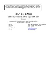 BẢN CAO BẠCH CÔNG TY CỔ PHẦN BÁNH KẸO BIÊN HÒA (Bibica)