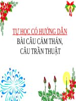 slide bài giảng câu trần thuật 