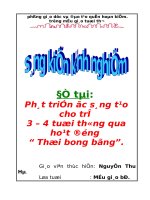 SKKN phát triển óc sáng tạo của trẻ 3 4 tuổi qua hoạt động thổi bong bóng 