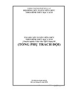 TÀI LIỆU XÉT TUYỂN VIÊN CHỨC THEO HÌNH THỨC ĐẶC CÁCH Chuyên ngành: Giáo viên THCS hạng III (TỔNG PHỤ TRÁCH ĐỘI)