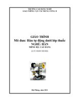 Giáo trình Hàn tự động dưới lớp thuốc - Nghề: Hàn - Trình độ: Cao đẳng nghề - CĐ Nghề Giao Thông Vận Tải Trung Ương II