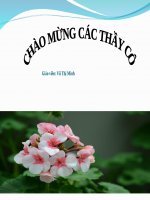 slide bài giảng các hoạt động ở trường lớp 3 