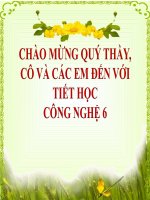 Bài 13  cắm hoa trang trí 