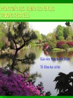 slide bài giảng tiểu đội xe không kính 