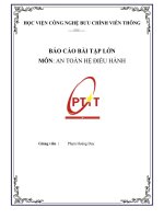 Báo cáo bài tập lớn môn An toàn hệ điều hành