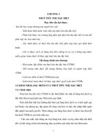 Tổng quan về thuế - Chương 3: Thuế tiêu thụ đặc biệt