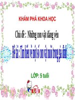 slide bài giảng tìm hiểu một số con vật nuôi trong gia đình 