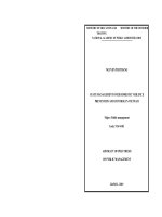 Quản lý nhà nước về phòng, chống bạo lực gia đình ở việt nam tt tiếng anh 