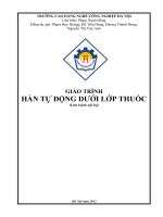 Giáo trình Hàn tự động dưới lớp thuốc - CĐ Nghề Công Nghiệp Hà Nội