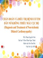 CHẨN ĐOÁN VÀ ĐIỀU TRỊ BỆNH CƠ TIM DÃN NỞ KHÔNG THIẾU MÁU CỤC BỘ