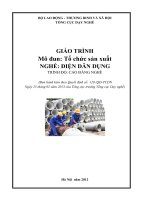 Giáo trình Tổ chức sản xuất - Nghề: Điện dân dụng - Trình độ: Cao đẳng nghề (Tổng cục Dạy nghề)