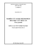 Khoá luận tốt nghiệp nghiên cứu sơ bộ thành phần hóa học cây trâu cổ   ficus pumila 
